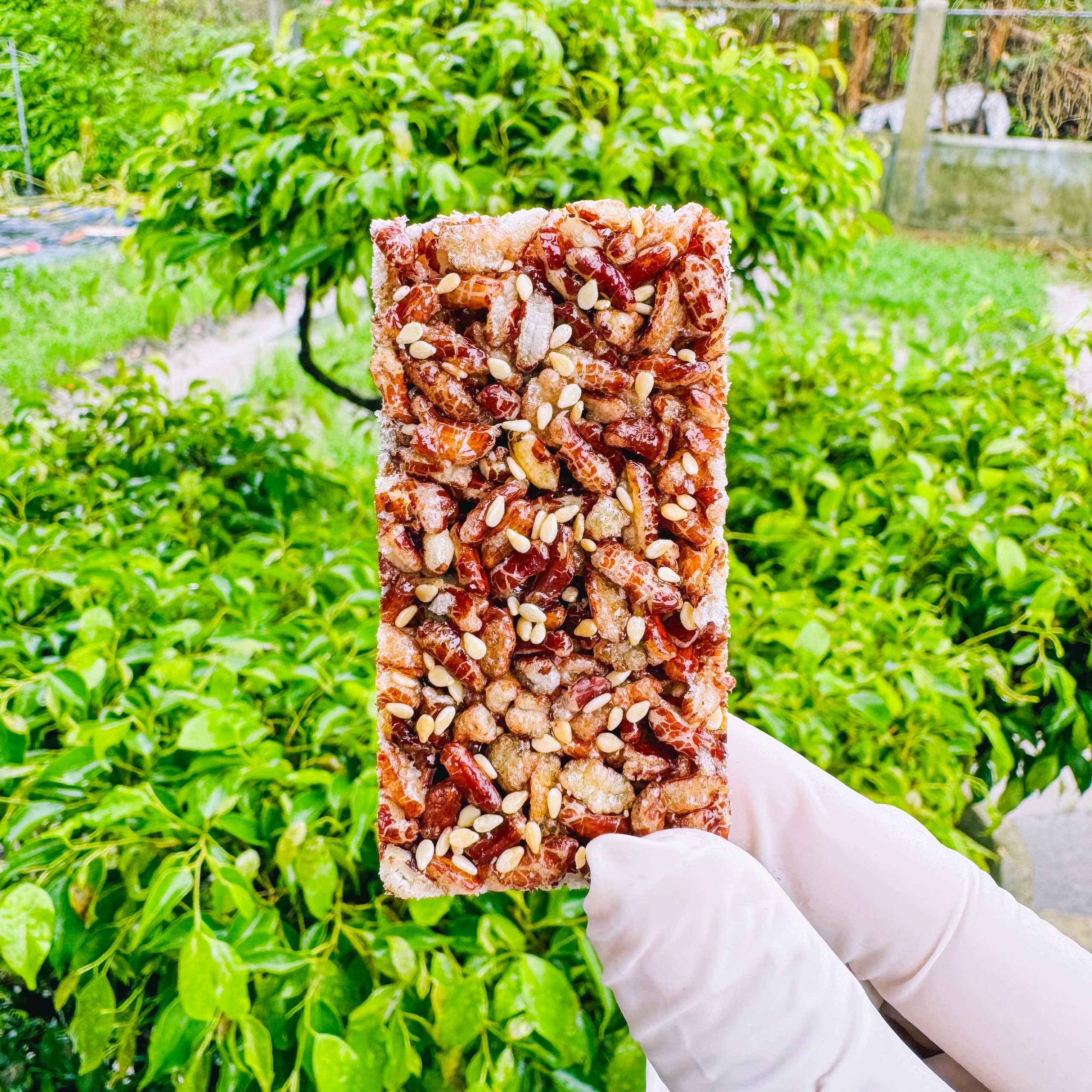 Bánh cốm gạo lứt mè quê – Hộp 300G/500G